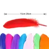 DIY FEATHER GOOSE FEATH CRAFT TOODS MEDIAD PARTY Event Decor Decoration Festive Decoration 15-20cm