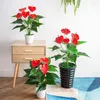 Dekorativa blommor 18heads konstgjorda växter Anthurium falska gröna blad för utomhus trädgårdsdekor el hem rum blommor bonsai dekoration