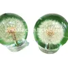 Paardebloem Glas Hars Lens Bal Orb Home Decor Magische Botanische Bloem Bol Globe Ornament Good Luck Graduation Gift Mooie Bloemen Transparant Presse-papier