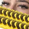 10 par 6d faux mink ögonfransar dd curl falska fransar wispy crisscross eye lash extensions mjuk återanvändbar grymhet gratis smink