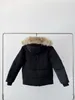 Толстовки Зимний пуховик Пуховик Парка с капюшоном Толстое пальто Wyndham Мужские пуховые куртки Согревающие пальто для мужчин Защита от холода Ветрозащитный Ou
