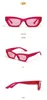 Zonnebril Groothandel 2023 Dames Aangepast Logo Zomer Trendy Retro Cat Eye Mode Mooie Getinte Zonnebril met klein montuur