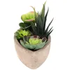 Dekorativa blommor Succulent Bowl Imitated Bonsai Matsalsbord Dekor Dekorera Fake Potted Paper Imitation Ornament Office Greenery