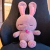 Plush Pillows Cushions Lovely Bunny Kawaii Stuffed Animals Plushie Toys Cute Rabbit Doll Baby Companion Toy Birthday Valentine's Day Gift For Girls 230726