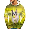 Erkek Hoodies 2023 Sevimli Hayvan Köpek Sweatshirts Çift Hoodie Komik Erkekler Sweatshirt