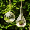 Vases Terrarium Paysage Verre Ransparent Forme De Boule Effacer Vase Suspendu Plantes À Fleurs Conteneur Micro Bricolage Mariage Accueil Drop Delivery Dh8G2