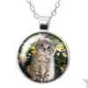 Pendant Necklaces Love Cat Pet Cats Animals Round Necklace 25Mm Glass Cabochon Sier Plated Jewelry Women Party Birthday Gift 50Cm Drop Dh7Bt