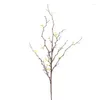 Декоративные цветы моделирование мертвое дерево галочное излучение