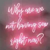 Why Are We Not Having Sex Right Now Neon Light Sign Home Beer Bar Pub Recreation Room Game Lights Windows Glass Wall Signs 24 20 i223J