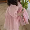 Abiti da ragazza 2023 Arrivo Sweet Baby Mesh maniche a sbuffo Bowknot Dress Cute Fashion Toddler Girls Summer Princess