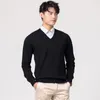 Heren Truien Man Pullovers Winter Mode V-hals Trui Ot Sale Wol Gebreide Truien Mannelijke Wollen Clotes Standaard Tops