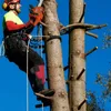 Liny wspinaczkowe Kolki Zestaw paznokci Regulowane smyczowe liny ratownictwo ratowanie kempingu na narzędzie polowania na przetrwanie z akcesorium pasa bezpieczeństwa 230726