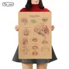 Adesivi murali TIE LER Il diagramma della struttura umana Carta Kraft Poster Adesivo stile vintage Home Bar Cafe Classroom Decor Pittura 230727