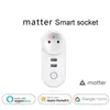 Smart Power Plugs WiFi Matter Smart Plug US US Au UK 16A 110V-240V Società elettrica di alimentazione con 2 porte USB con Apple Homekit Alexa Home HKD230727