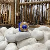 Bröllopsringar europeiska och amerikanska stil lapis lazuli pärla inlagd ringarmband set damer personlighet enkla och eleganta smycken 230726
