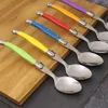 Ложки из нержавеющей стали Laguiole Ужин Spoon Big Big Stpoon Set Set Rainbow Hark