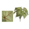 Decoratieve bloemen Nuttig Heldere textuur Makkelijk in onderhoud Hartvorm Simulatie Groen blad Huisbenodigdheden Kunstmatige plantenbladeren