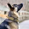 Tende Durevole Collare per cani tattico militare Guinzaglio elastico Set Collare da addestramento per passeggiate in nylon per animali domestici per cani di taglia media Pastore tedesco