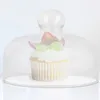 Servis uppsättningar Glass Cake Cover Round Dome Holder Clear Lid Showcase Acrylic