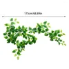 Fleurs décoratives vignes de plantes de rotin artificielles guirlandes de feuilles de guirlandes de 6 pieds avec de fausses plantes de vigne suspendues au mur