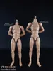 Figurines d'action COOMODEL 1/6 Standard Muscle Homme Soldat Corps BD001 BD002 BD003 BD004 25 / 27CM Figurine d'action militaire Poupée 230726