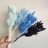 Decorative Flowers Wreaths Natural Dried Flowers Lagurus Ovatus Rabbit Bunny Tail Grass 100pcs Real Flower Bouquet Pampas Grass for Home Wedding Decoration 230726