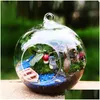 Vases Terrarium Paysage Verre Ransparent Forme De Boule Effacer Vase Suspendu Plantes À Fleurs Conteneur Micro Bricolage Mariage Accueil Drop Delivery Dh8G2