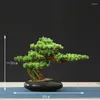 Декоративные цветы домашние украшения горшка Diy Fale Tree Bonsai Living Room Китайский стиль El Porch Landscape Green Plant