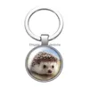 Keychains Lanyards älskar djur häst Hedgehog Pig Glass Cabochon Keychain Bag bil Key Chain Ring Holder Sier Color Men Women Gifts DH8VM