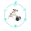 Hundleksaker tuggar husdjur hund tumlare mat behandla dispenser långsam matbalans cykel hund tänder interaktiv träning iq roliga leksaker husdjur leveranser 230727