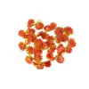 Fleurs décoratives 12 pièces brindilles rouges écologiques parfaites pour toute occasion Simulation simulée