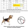 Designer-Hundehalsbänder und Leine-Set, Step-In-Hundegeschirr für kleine, mittelgroße und große Hunde, verstellbare, robuste Halftergeschirre mit LL