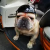 Casques Cool chiot chien Moto chapeau pour petits chiens moyens randonnée cyclisme casque pour animaux de compagnie berger mascottes Shiba Inu chapeaux Capacete De Moto