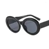 Sonnenbrille Frauen bunte Streifen Vintage Zebra Muster Sonnenbrille Männer Marke Designer Eyewear Frau UV400