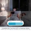 Smart Power Pult Plugs Moes Wi -Fi Smart Power Socket Plugure Яркость Регулирование Timer для приложения Tuya Smart Life Alexa Voice Control Eu/UK/US HKD230727