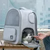 Katter lådor husar kattens ryggsäckväska för små hundkatter valp utbyggbart utrymme andningsbara nät transparent utomhus resor husdjursprodukter 230726