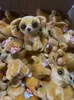 Schattige grote ogen Knuffel Kawaii knuffeldier Kleine zeehond Pinguïn hond kat panda muis pop Kinderspeelgoed kerstcadeau