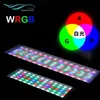 Iluminação de aquários Chihiros WRGB LED APP versão Aquairum Aquatic Plant Light com controlador mágico de 4 canais como temporizador Sunrise2125