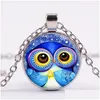 Colares com Pingente Coruja Adorável Colar de Vidro Olhos Grandes Cute Art Po Retro Steampunk Animal Jóias Banhado a Prata Cadeia Longa Drop Delivery Dhvcf