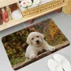 Carpets Cute Entrance Door Mat Soft Bedroom Floor House Laundry Room Mat Anti-skid Hotel Decor Mat R230728