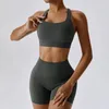 Conjuntos ativos verão sem costura feminino yoga roupas esportivas fitness blusa sem mangas sólida para treino roupas de cintura alta shorts conjunto de ginástica