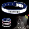 Collare per cani in pelle personalizzato Cane gatto personalizzato Pug Perro ID Targhetta identificativa Collari Incisione gratuita Cani di piccola taglia Targhetta per gatti Collare L230620