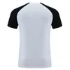 T-shirts pour hommes Hommes Sports d'été T-shirts Patchwork Mode Fitness Manches courtes Séchage rapide Jogger Chemises de course Respirant Formation Gym T-shirt 230727