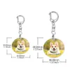 Benutzerdefinierte Acryl Schlüsselanhänger Katze Hund ID Charme Druck Haustier Foto Haustier Souvenir Geburtstagsgeschenk Name Schlüsselanhänger personalisierte Hund Katze ID Tags L230620