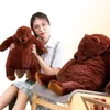 60cm100cm Soft Brown Bear Djungelskog Plush Toys Stuffed Bear Teddy Toys Cruwging Pillow Cushion Gift VIP LJ2011265561340