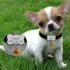 Персонализированные воротнички для собак Custom Chihuahua Puppy Cat Cath воротнич