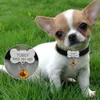 Personalized Dog Collars Custom Chihuahua Puppy Cat Collar Bone ID Tags Engraved For Small Medium Dogs Free Gift Bell XS S L230620