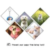 Akryl Clear Pet ID-tagg Personliga hundtaggar med färgglad fototravering Anpassad namnplatta Anti-Lost Pet Collar Pendant L230620