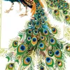 Lucky Peacocks Birds Handmade Cross Stitch Craft Tools Embroidery Negelwerken Sets geteld Print op canvas DMC 14CT 11CT2699598