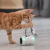 Nuovo giocattolo per animali domestici elettrico manuale telecomando automatico Smart Balance Car Led luminoso piuma gatto telecomando Car278J